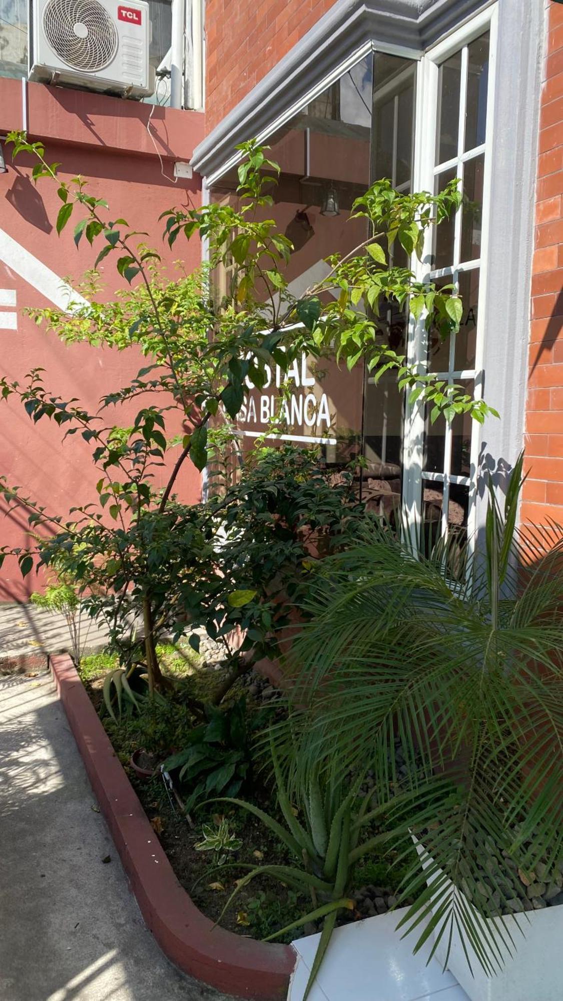 Hostal Casa Blanca Puerto Francisco de Orellana Kültér fotó